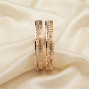 Elegant Gold Women’s Bangle Set Main View