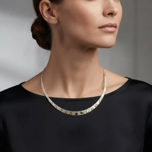 925 Silver Two-Tone Heart Choker Necklace for Women Main View